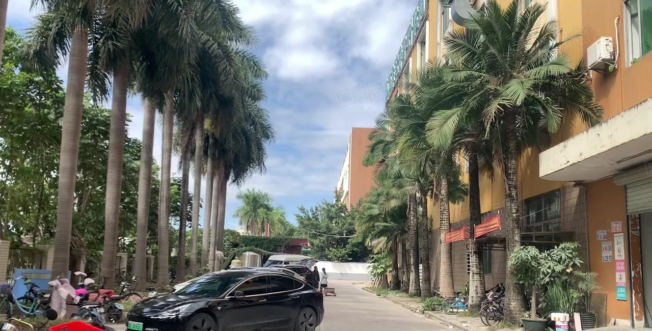 仲恺陈江独门独院一楼1500平高6米原房东仓库厂房出租200