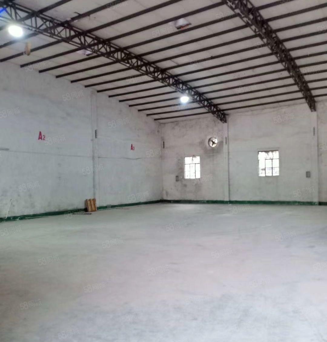 仲恺陈江镇单一层独院厂房3500平方滴水8米空地2000平方