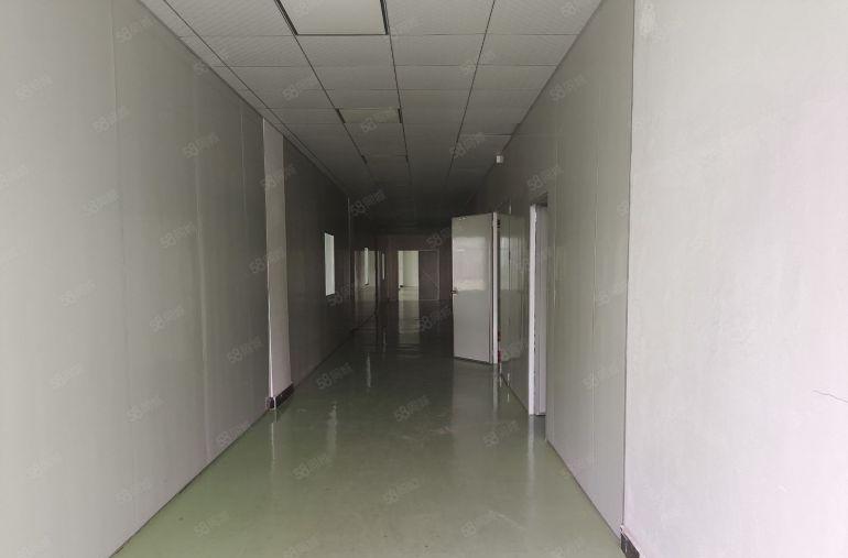 9元 仲恺沥林全新装修厂房楼上2500平 水电齐全