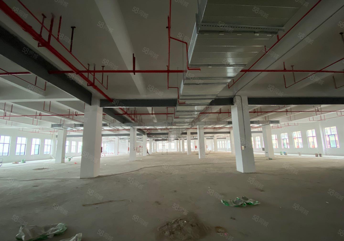 惠环镇新建红本厂房68000平方出租，证件齐全！可办环评