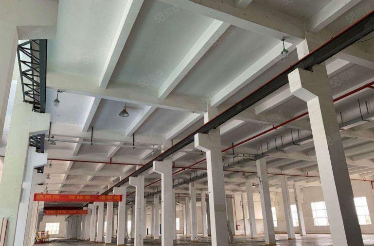 1楼10米高的特种厂房市场罕见承重10吨