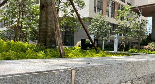 惠州惠城 惠州市惠城区水口街道办荔枝城工业大道320000㎡ 框架厂房出售层高7.5米 配电70KVA天车2吨 可环评