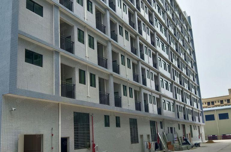 6元原房东全新标准厂房0公摊出租只要看上免租期长