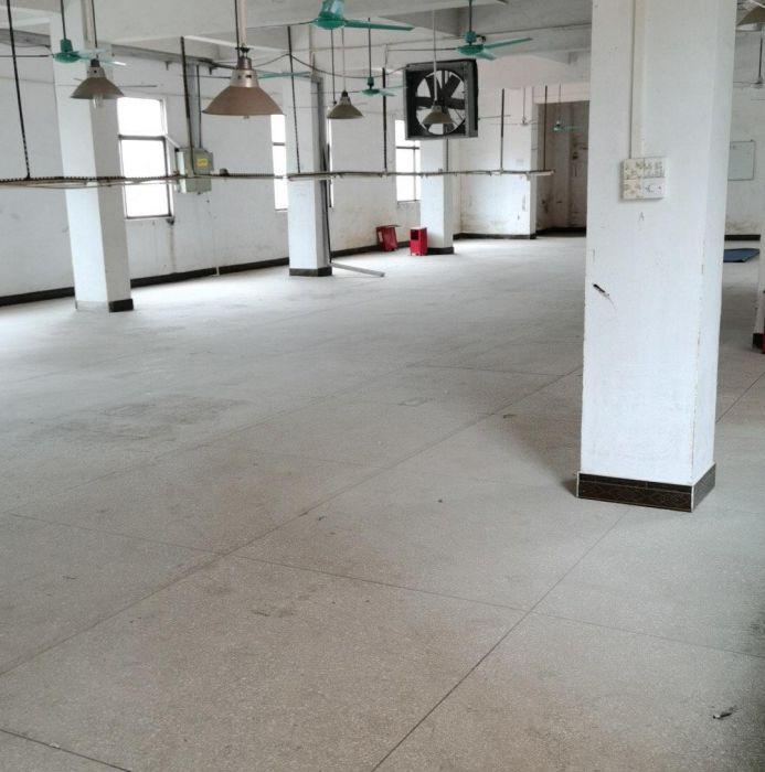 独门独园厂房出租，可单层分租，有装修好的办公室办公室