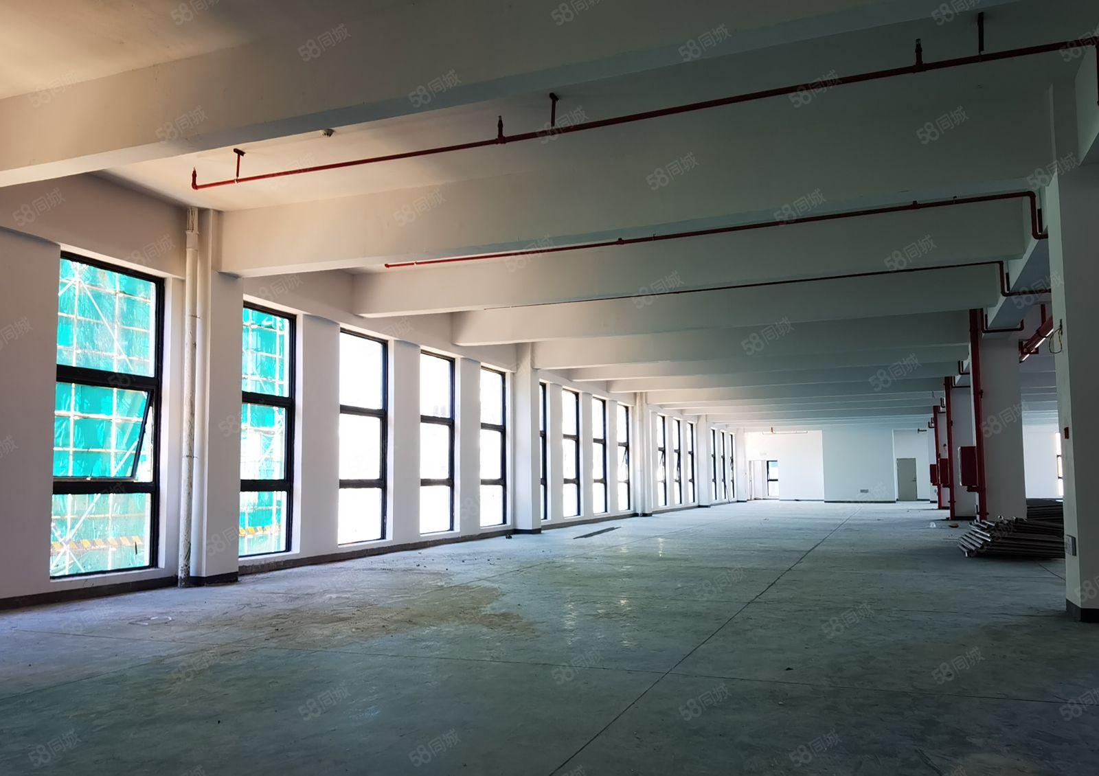 惠州龙门工业园10元起租1690平米（层）