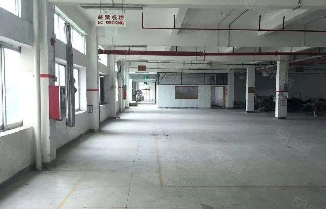 三栋数码园 花园式 独门独院1万平方标准厂房出租 大小可分租