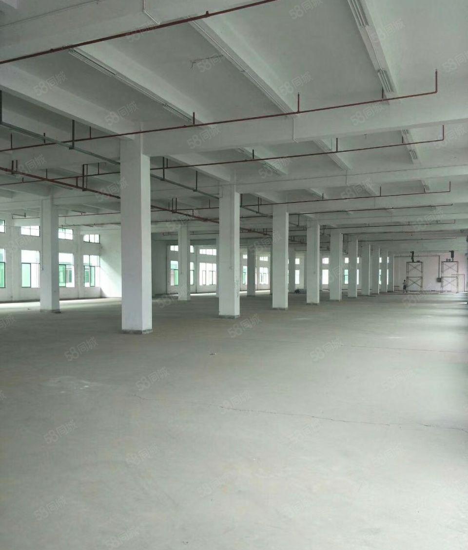 惠州食品园区有天然气可排水8块钱一平可分租