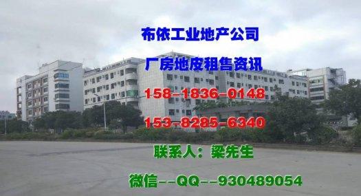 惠州市惠阳区新圩镇６７８１３平方独院厂房出售（国有证件）