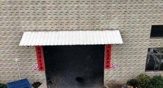 惠州仲恺独院砖墙到顶钢结构厂房总面积2100平证件齐低价出租