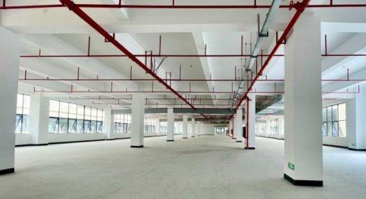 惠州市惠东县惠东吉铼顺科技产业园