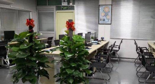 深圳宝安 塘尾和盛工业区5栋3楼600㎡ 厂房租售