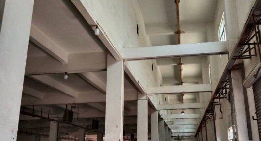 深圳龙岗 21500㎡ 厂房租售层高6.5米 配电630KVA 独院 可环评 可分租