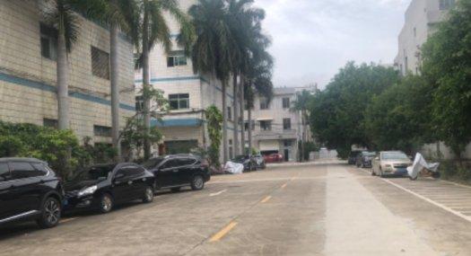 深圳龙岗 大鹏新区3000㎡ 厂房租售层高5.5米 独院 可环评 可分租，价格10元