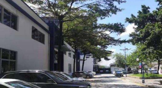 宝安石岩松柏路旁一楼1250平精装办公室出租！