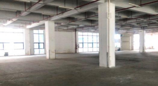 深圳大鹏2000㎡ 厂房租售 独院 可分租 价格10元一平