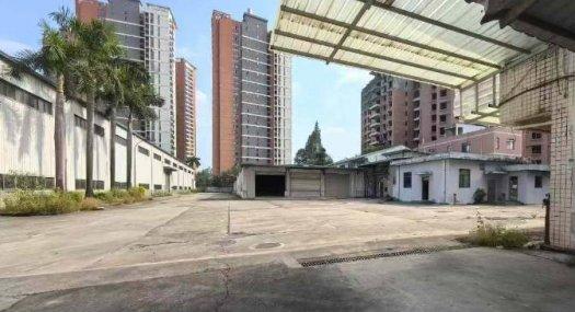 深圳龙华观澜6500㎡ 10米厂房出租 独院 可环评 可分租