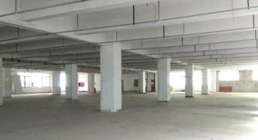 深圳南山 南海大道1800㎡ 厂房出租层高5米 独院 可分租仓储物流配送优选地