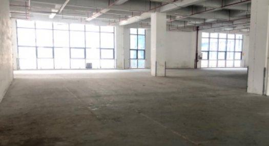 深圳大鹏2000㎡ 厂房租售 独院 可分租 价格10元一平