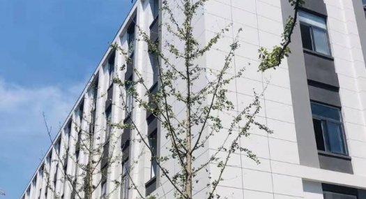 浙江义乌工业厂房出售 600-5000平独栋户型 50年产权 独门独户