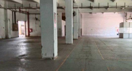 深圳龙岗 21500㎡ 厂房租售层高6.5米 配电630KVA 独院 可环评 可分租