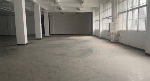 深圳盐田 保税区入口，楼栋首层，海山路地铁站旁边1433㎡ 砖混厂房出售层高4.8米 跨度56米 可环评