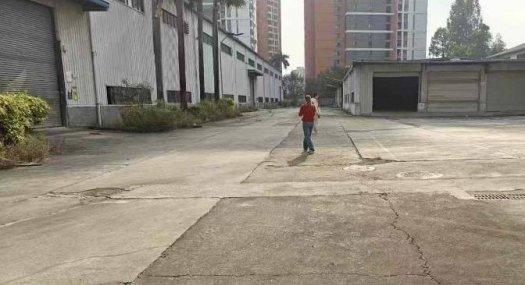 深圳龙华观澜6500㎡ 10米厂房出租 独院 可环评 可分租