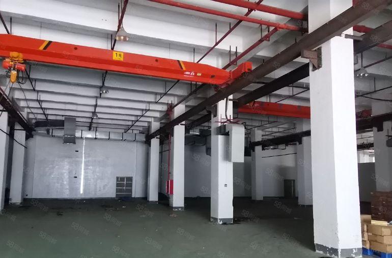 高7米大鹏新区布新路工业大道红本重工业2300平门前空地超大