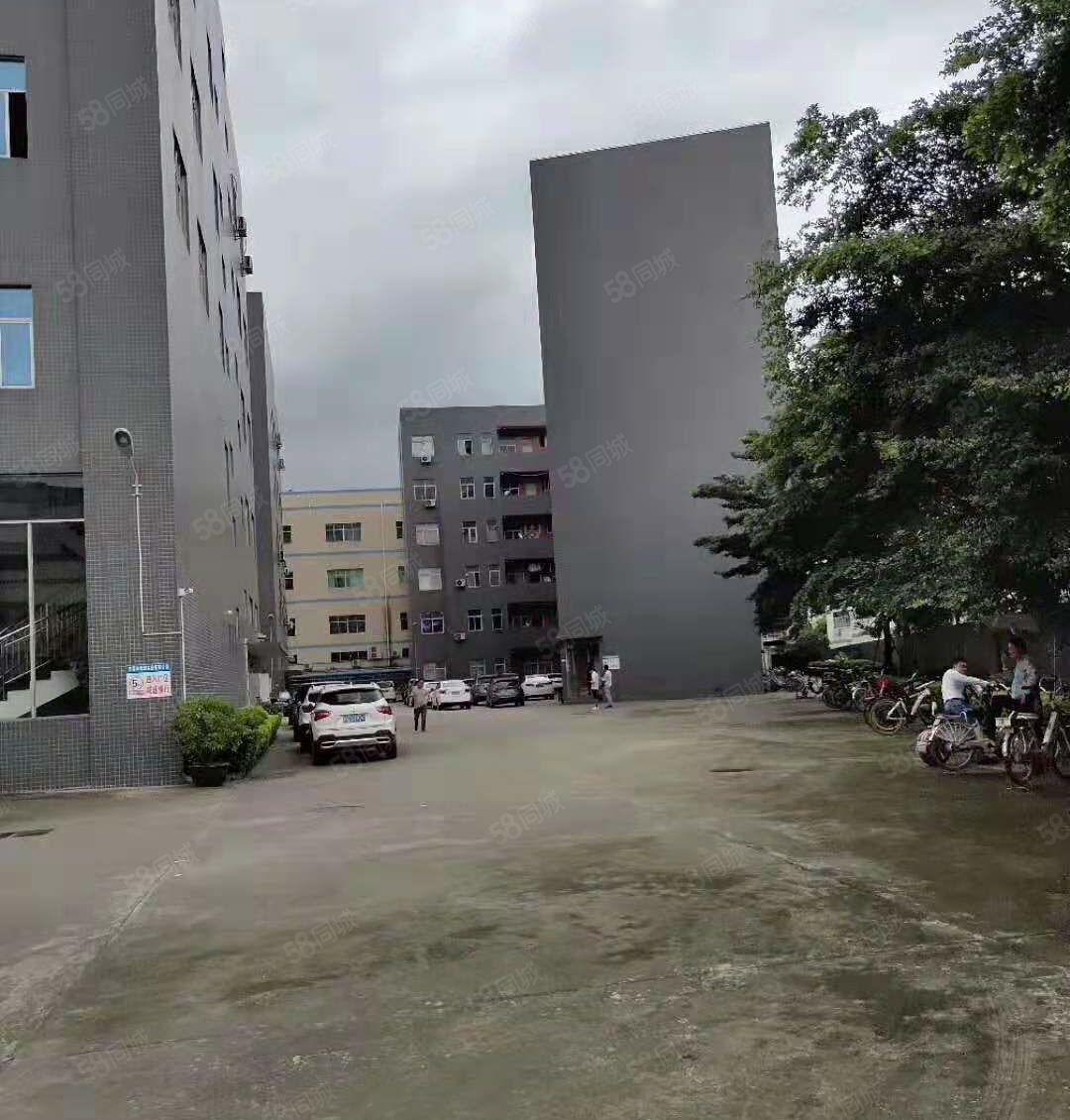 大鹏葵涌新出2100平米无尘车间出租1000平米起租