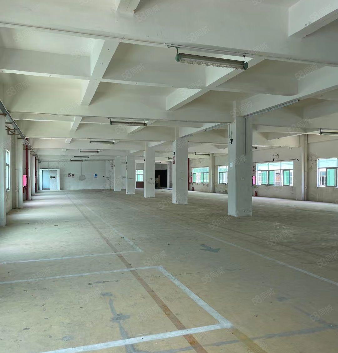 业主直租葵涌工业区独院厂房14层5200平，分租，