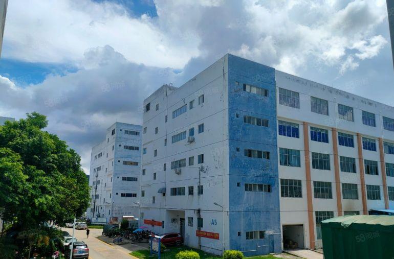 深圳市葵涌街道原房东红本独院厂房两栋共5万平，空地大，形象好