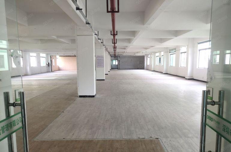 葵涌4200平方厂房仓库办公业主直租