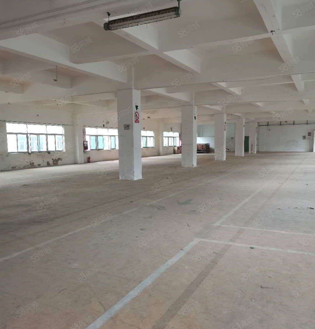 业主直租葵涌工业区独院厂房14层5200平，分租，
