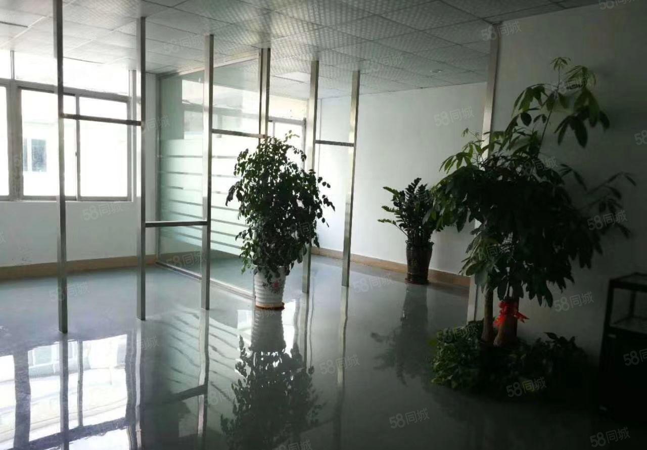 D 葵涌知己工业区10元起平米，仓库仓库10000平，