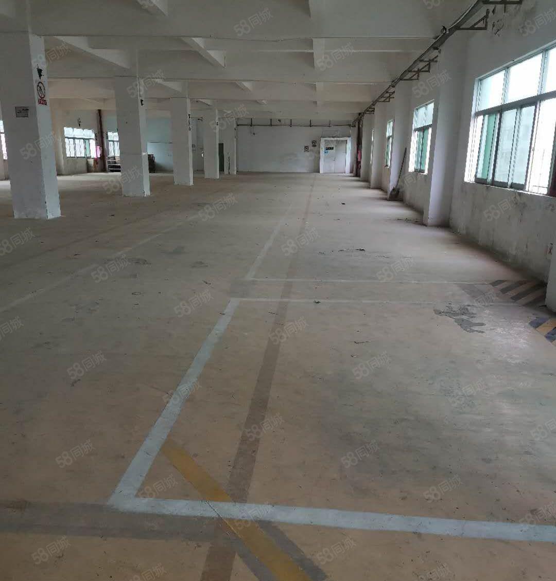 业主直租葵涌工业区独院厂房14层5200平，分租，
