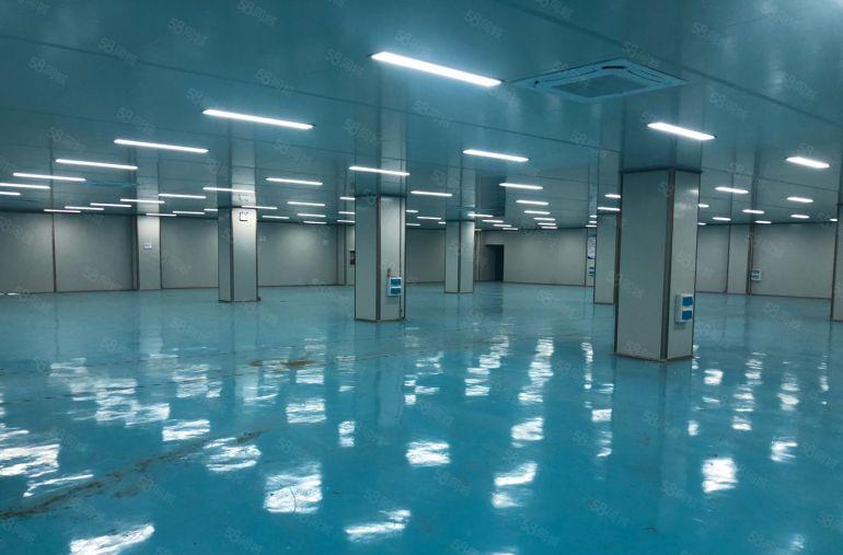 大鹏葵涌工业区原房东5000平10万级无尘车间免转让费可分租