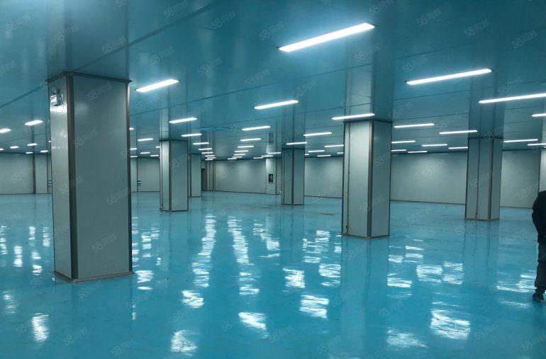 大鹏葵涌工业区原房东5000平10万级无尘车间免转让费可分租