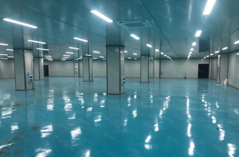 大鹏葵涌工业区原房东5000平10万级无尘车间免转让费可分租