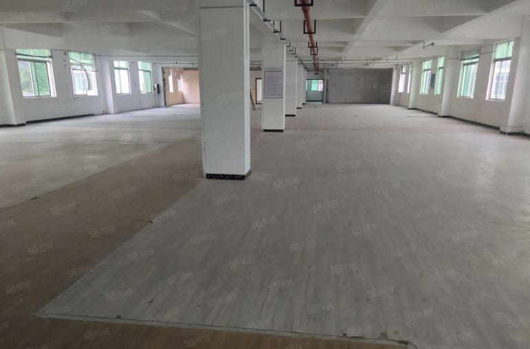 葵涌独门独院厂房仓库业主直租