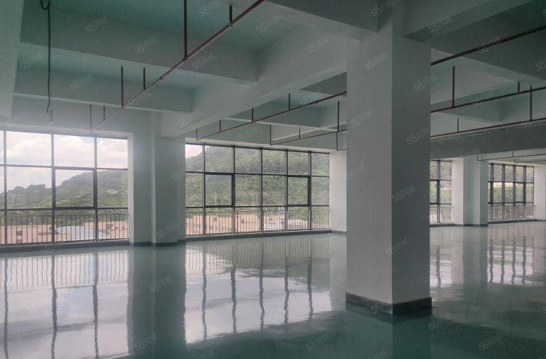 石碣2000平方原房东红本厂房出租500平方起分租可办环评