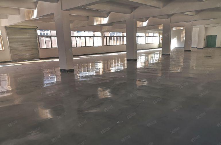 东城上桥  独院全新厂房 5400平方 也可以按层分租