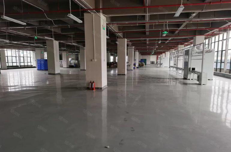 东城低价厂房出租 空地大 水电齐全 地坪漆 办公室