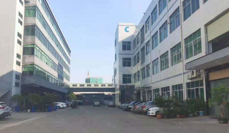 厂房出租！东城柏洲边一楼厂房710平，可做水果生鲜配送，仓库