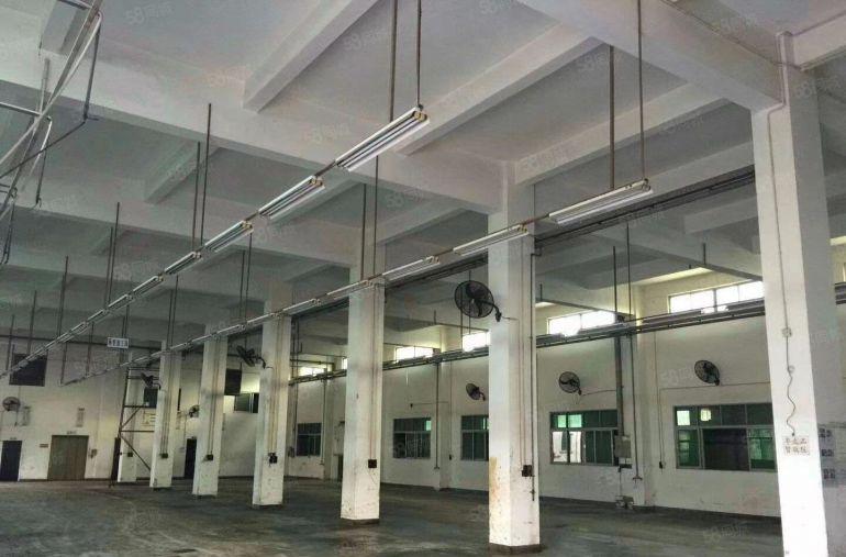 桑园 科技园 独院 1万平方,可分租，形象好空地大