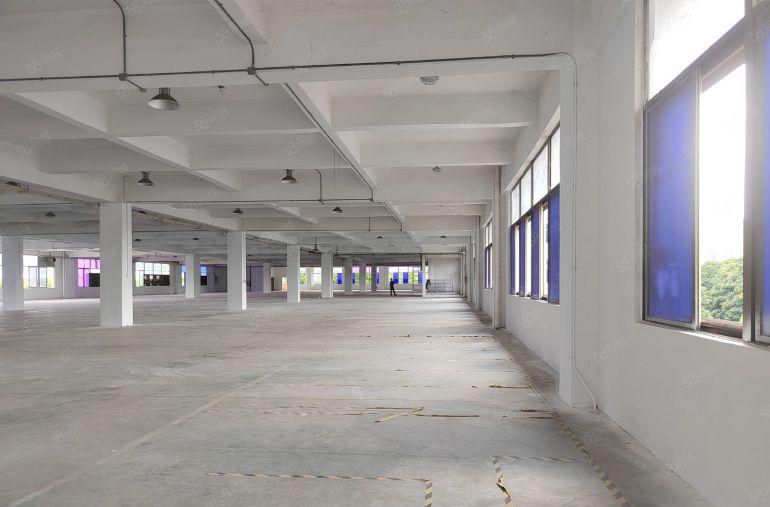 仓库虎门南栅独栋两层厂房11000平500起分租，可做生产