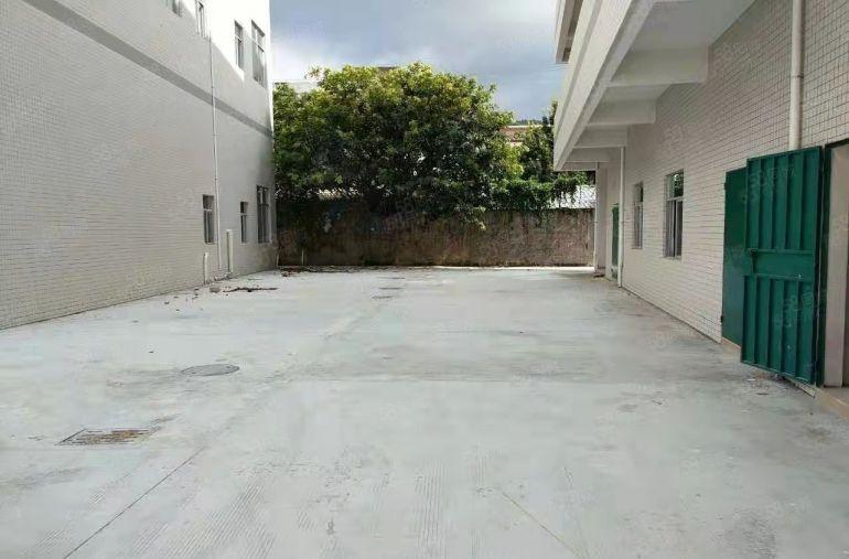 虎门雅瑶（原房东）1楼九成新580平低价厂房出租，带环评