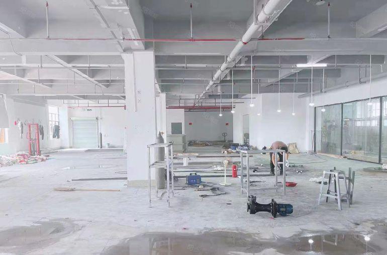 虎门原房东低价厂房出租特殊行业看过来带环评厂房