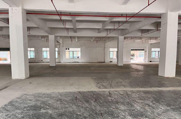 白沙一楼2380平花园区厂房 独门独院