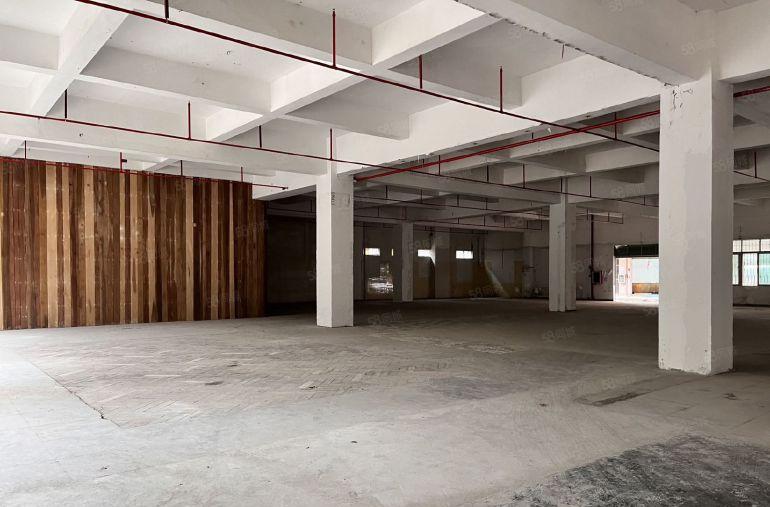 白沙一楼2380平花园区厂房 独门独院