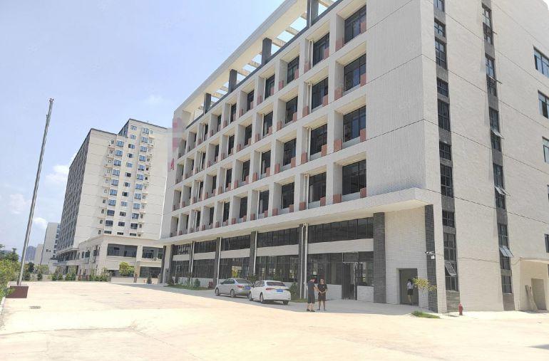 虎门南栅全新红本厂房一楼1500平 二楼1500平低价出租