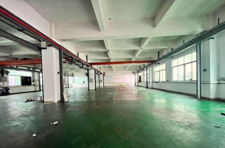 长安厦岗 厦边一楼1000平厂房出租 可分租 模具 五金